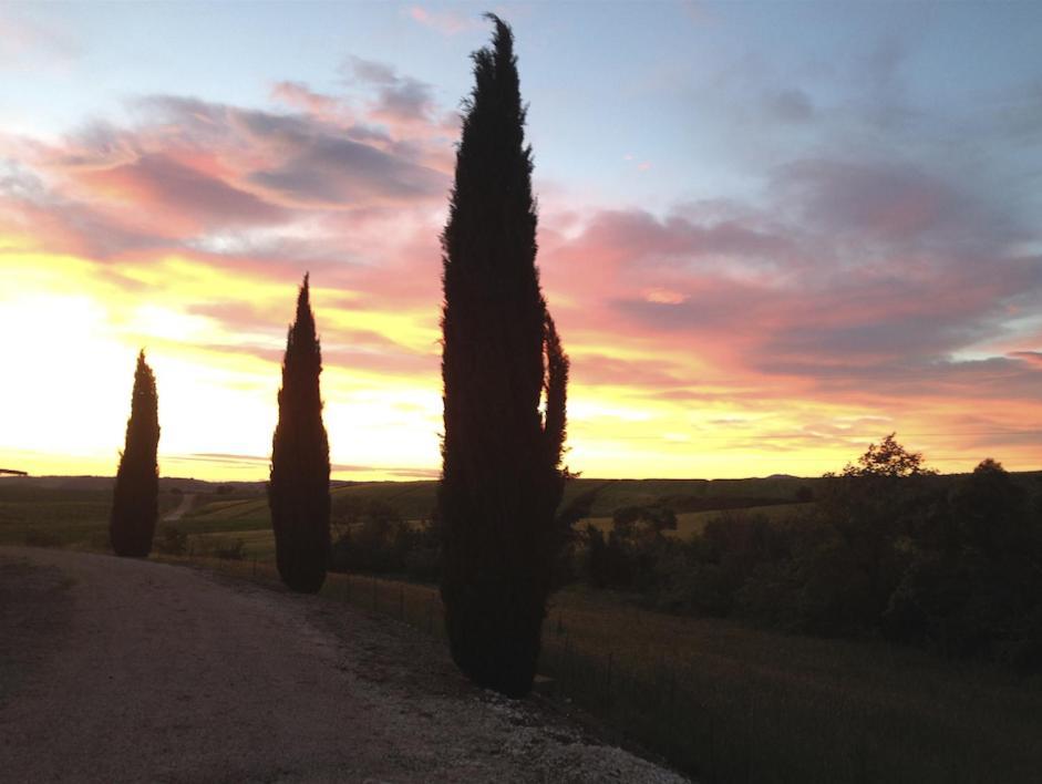 Agriturismo Il Raduno - Max Lelli Marsiliana Exteriér fotografie